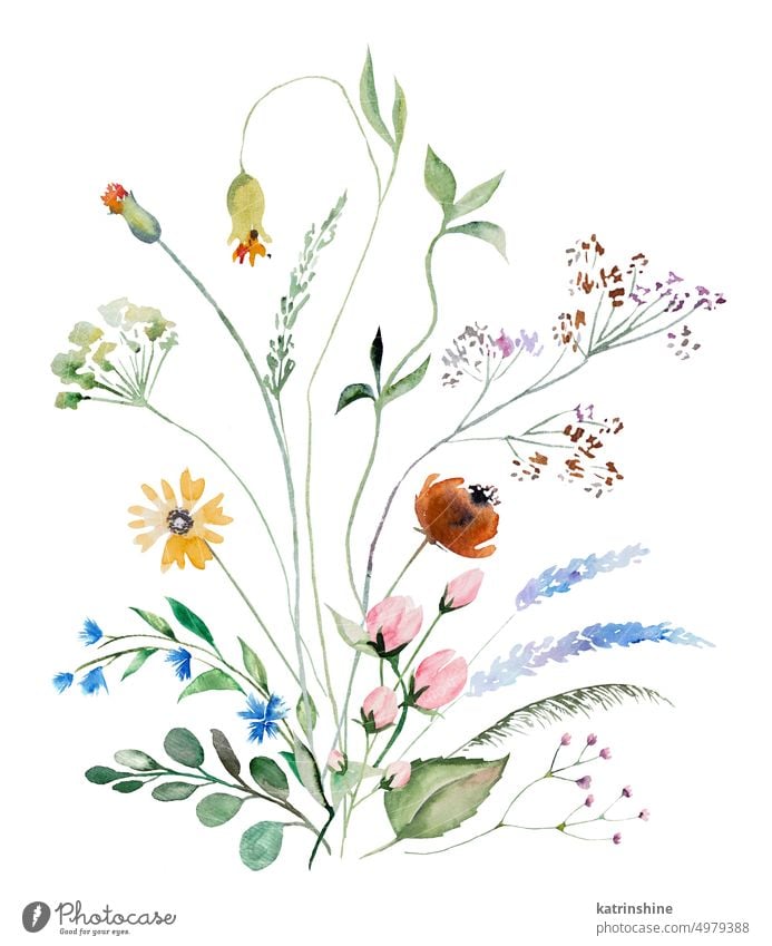 Bouquet von Aquarell wilde Blumen und Blätter, Sommer Hochzeit und Gruß Illustration isoliert Geburtstag botanisch farbenfroh Dekoration & Verzierung Zeichnung