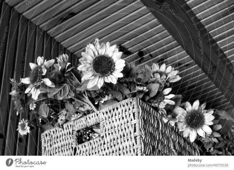 Alter Korb mit Tragegriff und künstlichen Sonnenblumen in einem alten Landhaus in Inkumu am Schwarzen Meer in der Provinz Bartin an der Schwarzmeerküste in der Türkei in klassischem Schwarzweiß