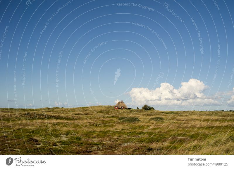 Postkarte aus Dänemark Ferienhaus Dünen Dünengras Himmel Wolken schönes Wetter Klischee Horizont Ferien & Urlaub & Reisen Natur Landschaft Tourismus Herbst