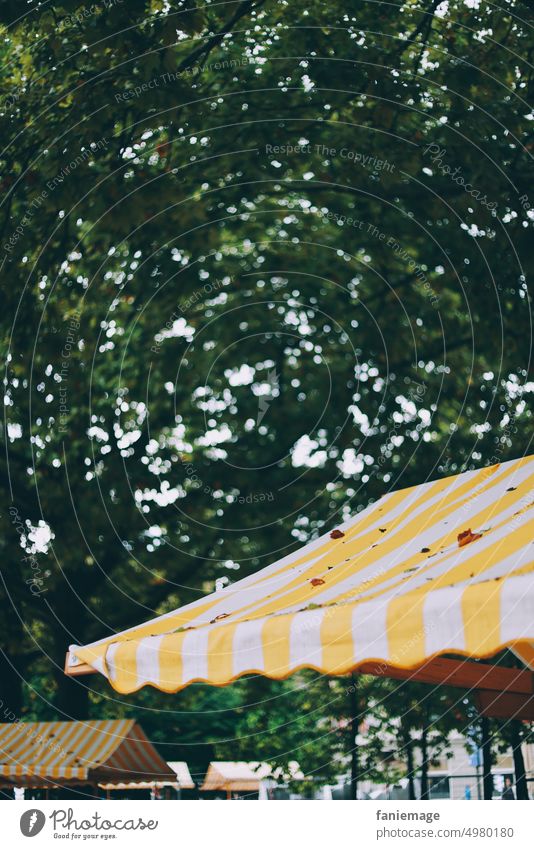 Bregenzer Marktstände im Regen Marktstand Martkplatz gelb weiß grün Baum Verkauf Regenwetter regnerisch Herbst Herbstwetter kalt nass nasskalt Dach Markise