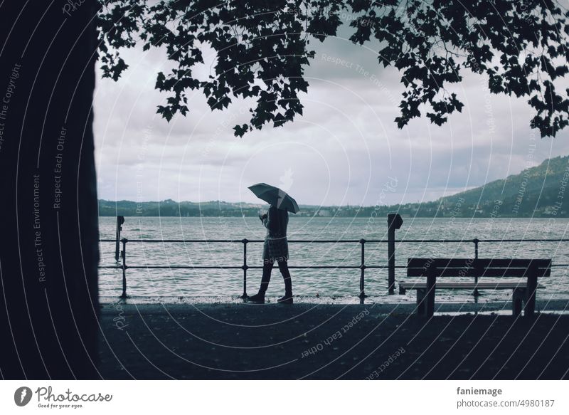 Spaziergänger im Regen Bodensee Bregenz Stadt Regenwetter regnerisch herbstlich Herbstwetter nass kalt nasskalt Regenschirm Baum grau in grau See Wellen