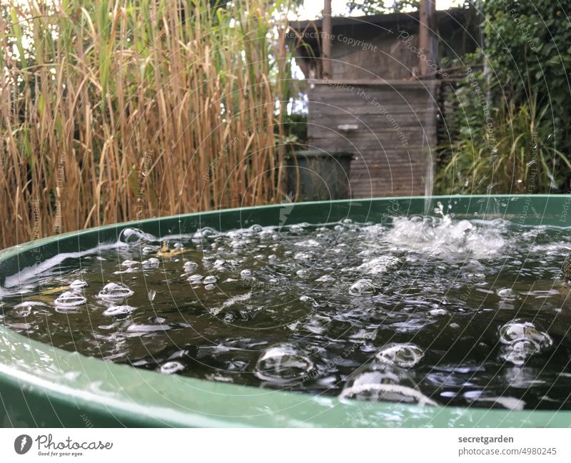 Das Fass ist voll. nass Regentonne Schrebergarten Garten Bewässerung Regentropfen Wassertropfen Natur Tropfen Pflanze Wetter schlechtes Wetter Nahaufnahme