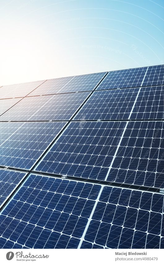 Bild von Photovoltaikmodulen im Sonnenlicht. pv Solarzellenpanel Kraft Energie elektrisches Solarpanel Modul solar Panel RES Ökostrom Himmel Foto grün