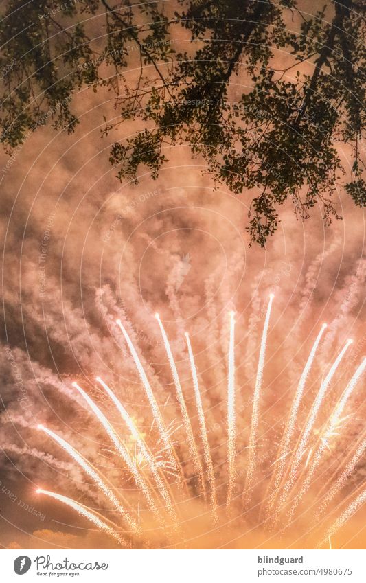 Juchuuuu mal wieder eines Angenommen - Freudenfeuerwerk Feuerwerk Licht Baum Silvester u. Neujahr Feste & Feiern Funken Nacht Party Rauch Pyrotechnik Aaaaah