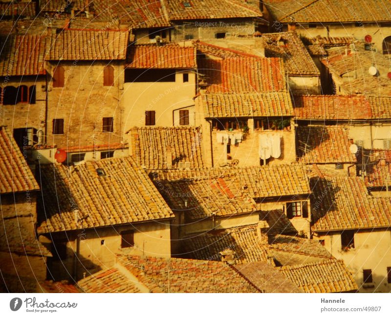 siena 3 Dach Dachziegel Italien Toskana Wäsche Ferien & Urlaub & Reisen Süden Siena reneissance oben