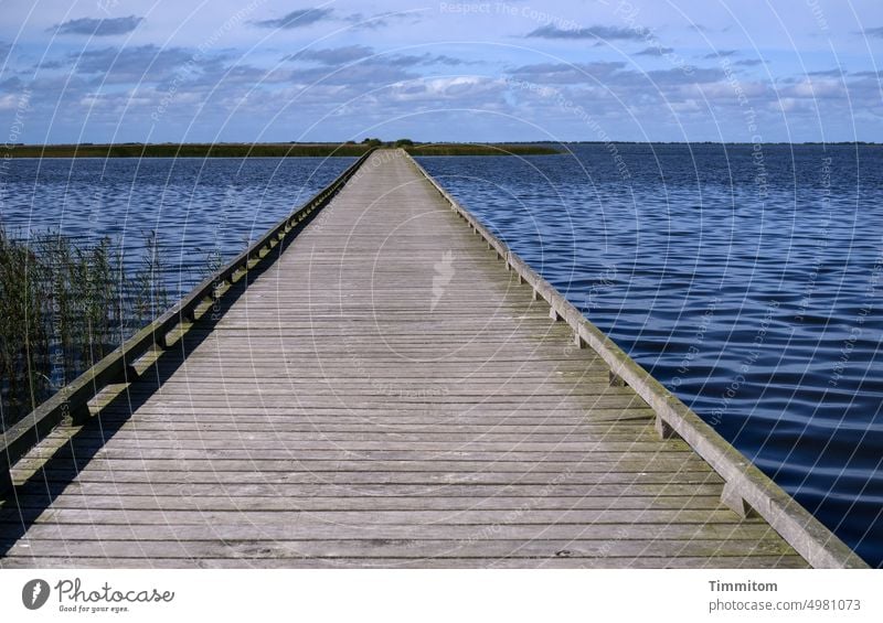 Es gibt einen Weg! Holz Dielen Holzweg Begrenzung Wass Fjord Wellen Gräser Insel blau grün Himmel Wolken Dänemark Ruhe Entspannung Meditation Menschenleer