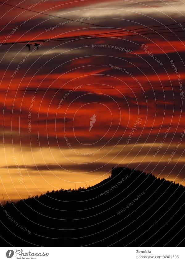 Berg und Vögel in Silhouette gegen einen roten und gelben Himmel Sonnenuntergang Sonnenaufgang feuerartig Natur natürlich Berge u. Gebirge Ansicht Neuseeland