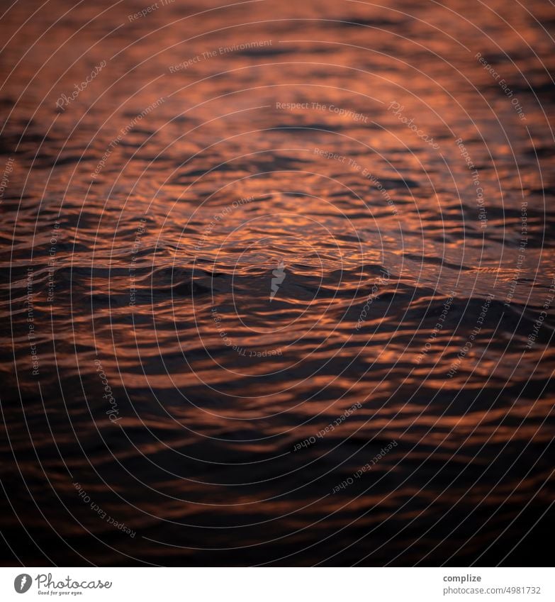 Abendlicht am See Finnland Skandinavien Dämmerlicht Dämmerung rot Sonnenuntergang Sommer Wasser Wellen Wellengang rötlich ufer Norden lappajärvi