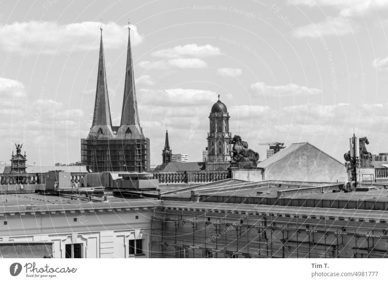 Blick von einem Dach in Berlin Mitte s/w Kirche Stadt bnw Außenaufnahme Tag Hauptstadt Schwarzweißfoto Stadtzentrum Menschenleer Architektur Bauwerk Gebäude