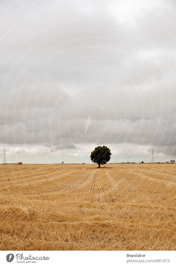 Getrocknetes Feld bei bewölktem Himmel in der Sommersaison, Spanien camino de santiago Ackerbau Heuballen wolkig Mais Kornfeld Landschaft Ernte Landwirtschaft