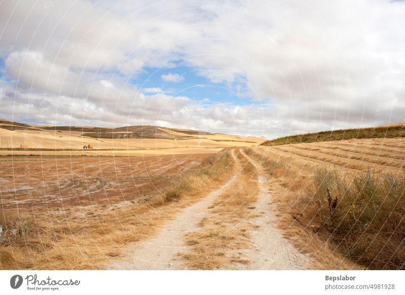 Straße in der spanischen Landschaft zur Sommerzeit camino de santiago Spanien Ackerbau Heuballen wolkig Mais Kornfeld Ernte Landwirtschaft Feld Grasland Ernten