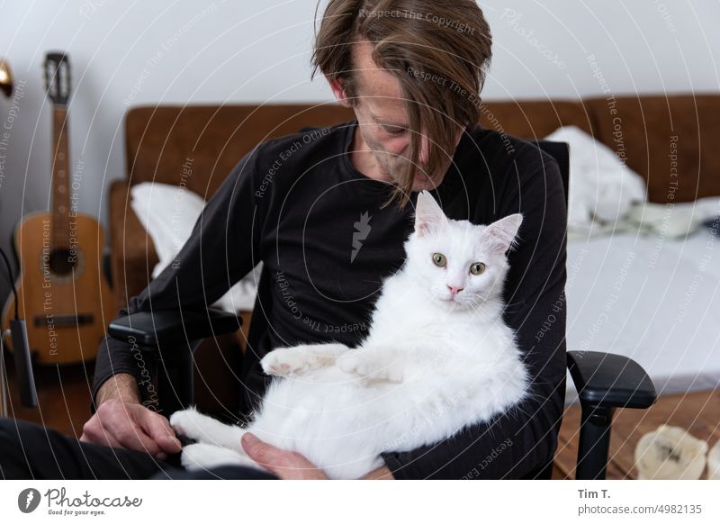 Mann mit weißer Katze zuhause Haustier Farbfoto Innenaufnahme Zuhause liegen Tier Tierliebe haustier Tierporträt Tag niedlich Geborgenheit Zufriedenheit