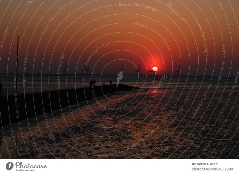 Sonnenuntergang an der Nordsee, mit Steg Himmel Meer Wasser Horizont Küste Ferien & Urlaub & Reisen Abend Natur Außenaufnahme Landschaft