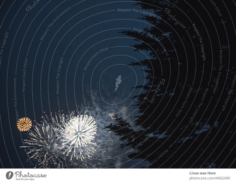 Zu einer blauen Stunde in der Nacht hat jemand Spaß an Pyrotechnik. Er schießt Feuerwerkskörper in den dunkelblauen Himmel. Ein stimmungsvolles Neujahrsfest feiern.