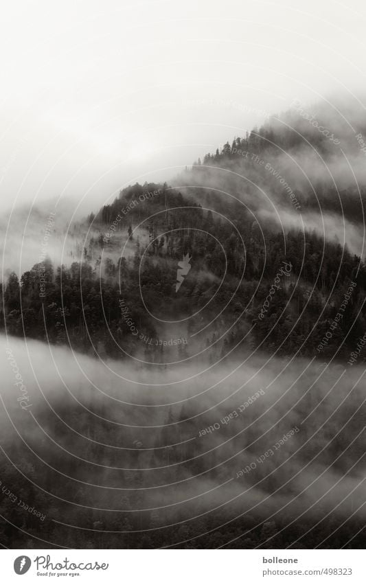 Nebulöös I Umwelt Natur Landschaft Pflanze Himmel Wolken Herbst Wetter Nebel Baum Wald Alpen Berge u. Gebirge Gipfel bedrohlich dunkel Ferne Einsamkeit Ewigkeit