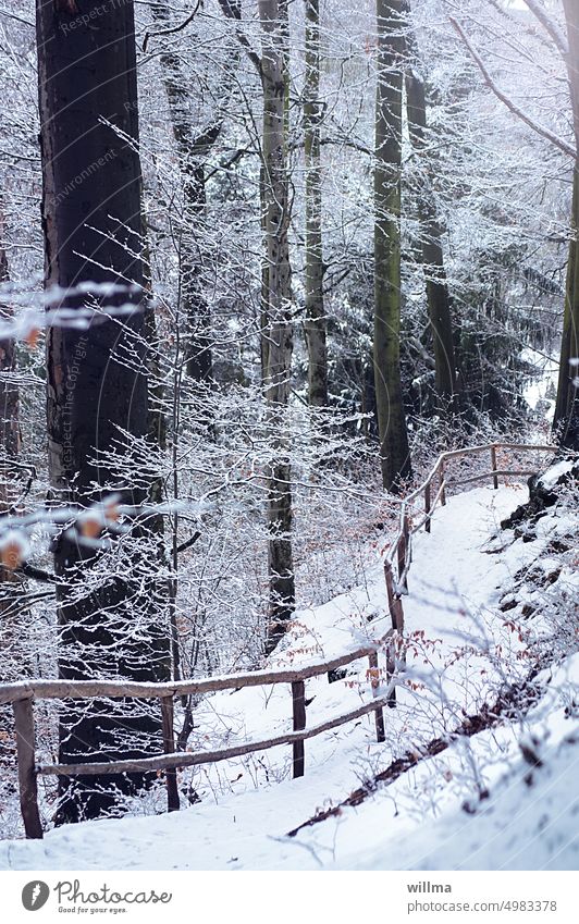 Winterspaziergang Winterwald Weg Holzgeländer Schnee winterlich verschneit Wintertag Winterstimmung Bäume Wald Kälte