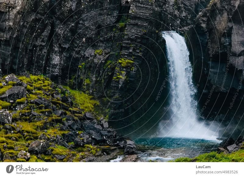 Wasser findet immer einen Weg nach unten Wasserfall Natur wild Wasserkraft Element Naturelement Fluss nass Felsen Urelemente Island fließen Landschaft