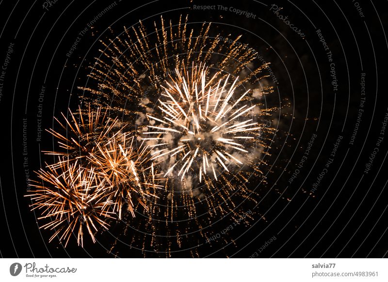 Feuerwerk  *1700* Silvester u. Neujahr Langzeitbelichtung Reaktionen u. Effekte Himmel Pyrotechnik Jubiläum Feier Feste & Feiern leuchten Explosion Nachthimmel