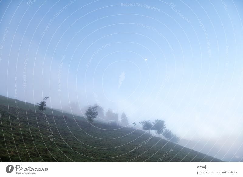 blau & schief Umwelt Natur Landschaft Himmel Wolkenloser Himmel Herbst Nebel Wiese kalt natürlich Farbfoto Außenaufnahme Menschenleer Textfreiraum oben Abend