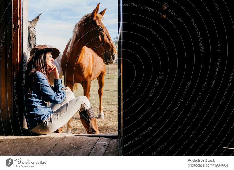 Frau mit Pferden auf der Veranda eines Hauses Ranch Sitzen Zusammensein Freiheit Gebäude Freunde Frieden schön malerisch Fauna im Freien Inhalt Landschaft Feld