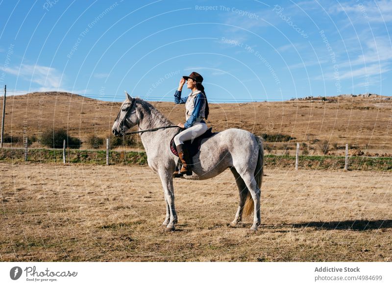Frau sitzt auf weißem Pferd in der Natur Reiter ländlich hell Sonnenlicht pferdeähnlich Sitzen Pferderücken Sattel Erholung Lifestyle züchten Bauernhof