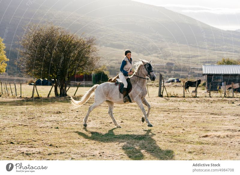 Frau reitet auf weißem Pferd in der Natur Reiter ländlich hell Sonnenlicht pferdeähnlich Sitzen Pferderücken Sattel Erholung Lifestyle züchten Bauernhof