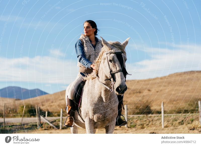 Frau reitet auf weißem Pferd in der Natur Reiter ländlich hell Sonnenlicht pferdeähnlich Sitzen Pferderücken Sattel Erholung Lifestyle züchten Bauernhof
