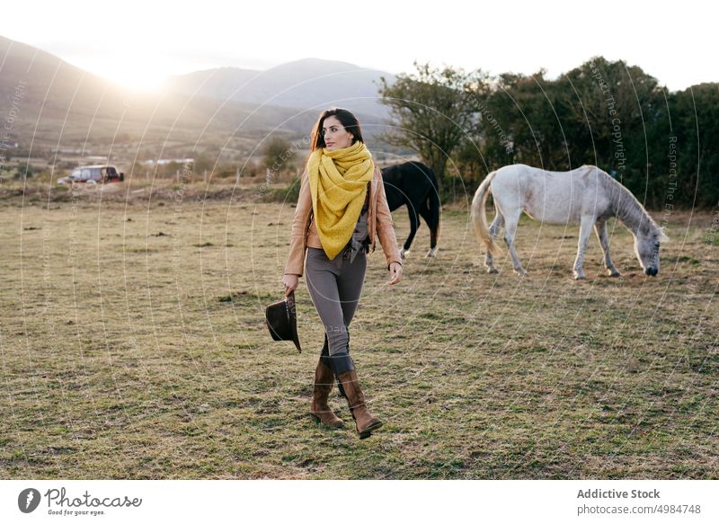 Frau geht auf einem Feld zwischen Pferden Ranch laufen Tier romantisch Harmonie Landschaft Pferderücken Lifestyle Natur pferdeähnlich Lächeln Wiese Reiterin