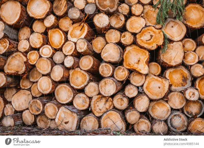 Hintergrund der geschnittenen Stämme Holz protokolliert Baum Textur Totholz hölzern Muster kreisen Stumpf Natur Design Nutzholz Haufen Forstwirtschaft natürlich