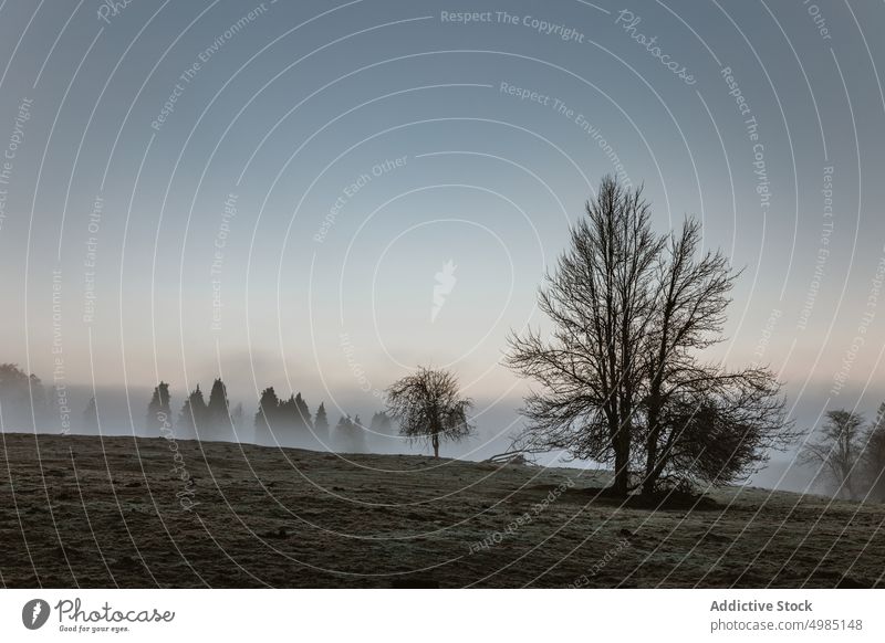 Landschaft mit Nebel im Baskenland neblig Natur grün Morgen euskadi Tal schön Französisch Dorf Álava aramaio Wald Sommer Licht Ansicht Haus Europa ländlich