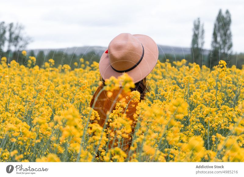 Frau im Feld mit gelben Blumen Sommer Sonnenhut Wiese Blütezeit Natur palencia Spanien Hut Landschaft frisch Hochland Berge u. Gebirge aromatisch Harmonie Flora