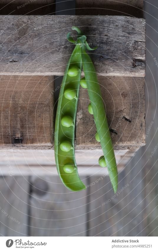 Nahaufnahme einer Erbsenschote auf Holz Hülse grün frisch Vitamin Lebensmittel Gemüse organisch offen Pflanze Hülsenfrüchtler Ernährung Reihe Samen roh Ernte