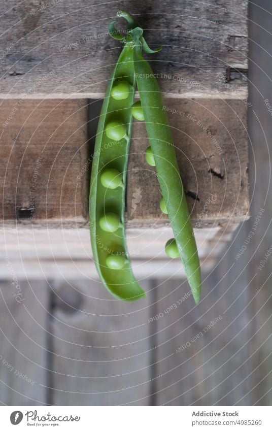 Nahaufnahme einer Erbsenschote auf Holz Hülse grün frisch Vitamin Lebensmittel Gemüse organisch offen Pflanze Hülsenfrüchtler Ernährung Reihe Samen roh Ernte