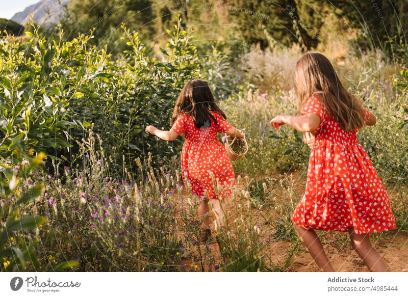 Mädchen in roten Kleidern gehen im Feld Freund Spaziergang Natur Sommer Schwester erkunden Abenteuer Korb Kindheit Spaß neugierig Familie wenig Geschwisterkind