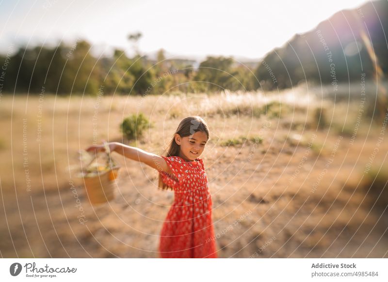 Kleines Mädchen spaziert auf einem Feld an einem sonnigen Tag laufen Sommer Natur Korb Aufregung Blume abholen Energie Kindheit bezaubernd Feiertag natürlich