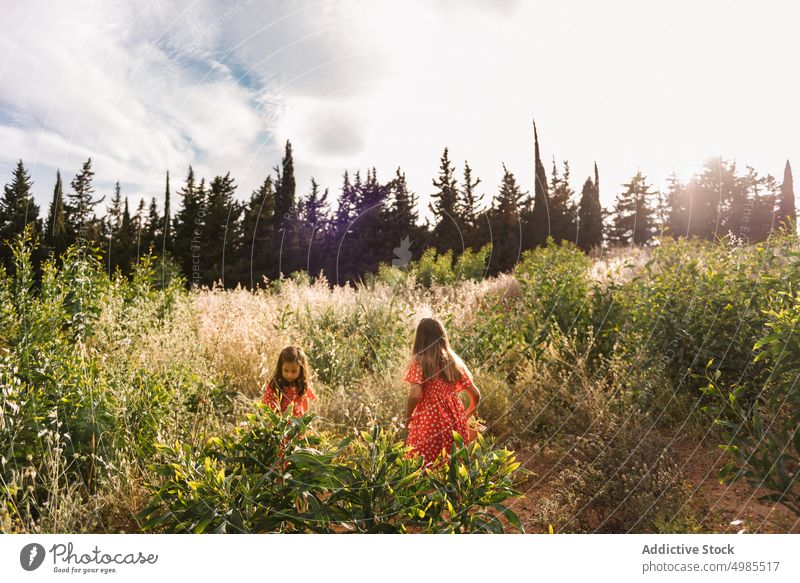 Mädchen in roten Kleidern gehen im Feld Freund Spaziergang Natur Sommer Schwester erkunden Abenteuer Korb Kindheit Spaß neugierig Familie wenig Geschwisterkind