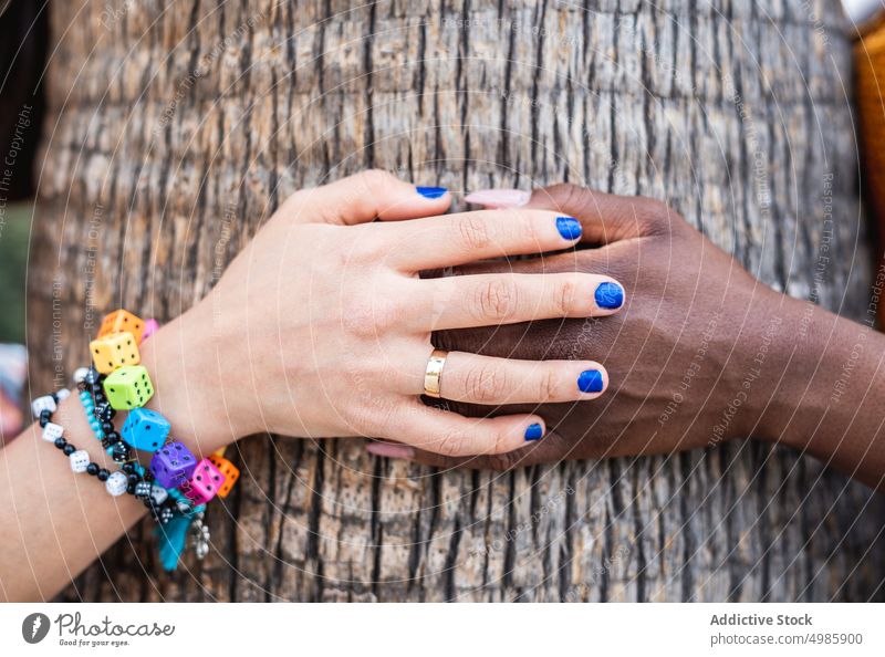 Crop multiethnischen lesbischen Paar berühren Hände in der Nähe von Baum Liebe Händchenhalten Freundin gleichgeschlechtlich lgbt Zusammensein Partnerschaft