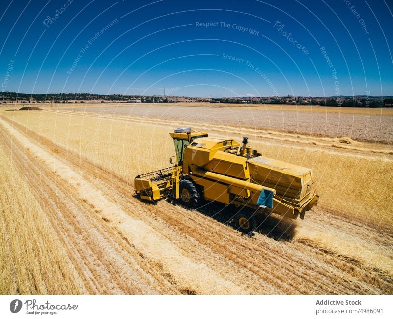 Gelber Traktor pflügt Feld und sammelt Ähren Maschine Weizen Ackerbau Bauernhof minimalistisch Ernte Landwirtschaft Landschaft Pflanze ländlich Natur Industrie