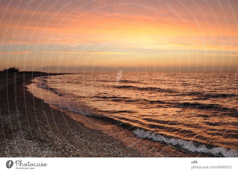 Sonnenuntergang am Meer | goldenes Licht an der Ostsee. Sommer Ferien & Urlaub & Reisen Tourismus Wellen Erholung Himmel Wasser Küste Horizont Strand Natur