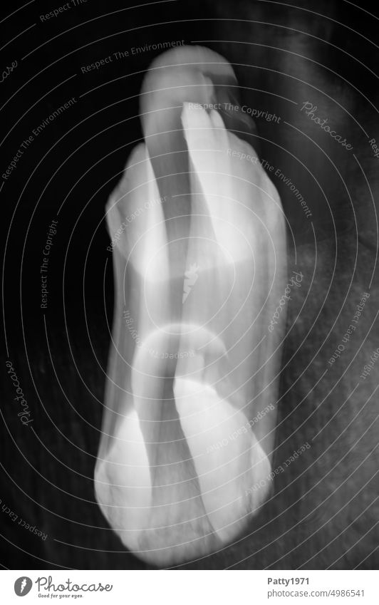 Schwan in abstrakter, bewegungsunscharfer ICM-Technik Bewegungsunschärfe verschwommen geheimnisvoll Unschärfe abstrakte Fotografie dunkel Schwarzweißfoto Vogel