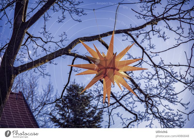 Ein Herrnhuter Stern, der in einem Baum als Weihnachtsbeleuchtung hängt. Weihnachten Mährischer Stern Xmas Dekoration Festlichkeit Feiertag Illumination