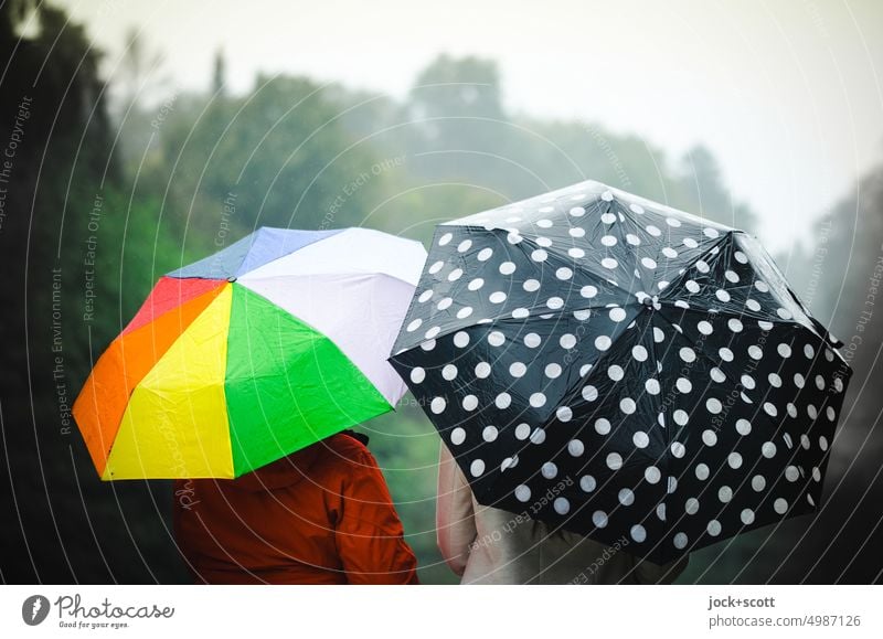 [HH Unnamed Road] bunter Regenschirm trifft schwarz mit weißen Punkten Frau Rückansicht Erwachsene regnerisch kühl feucht schlechtes Wetter Lifestyle