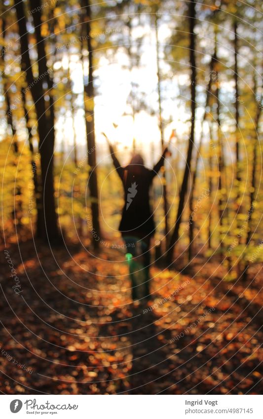 Frau wirft Blätter im herbstlichen Wald in die Luft Herbstlaub Bäume Natur Herbststimmung Herbstwetter Laub Sonnenlicht