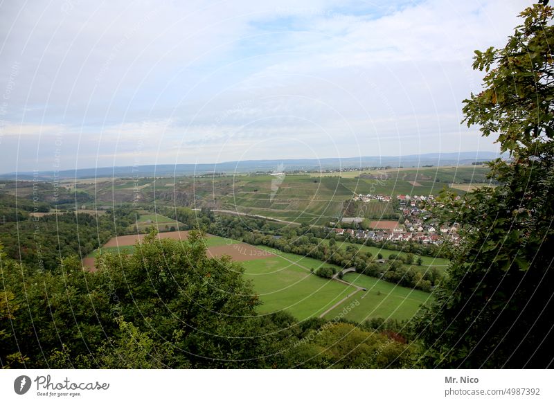 Nahetal ebernburg norheim Panorama (Aussicht) Wald bad münster am stein bad kreuznach Hügel Landschaft Rheinland-Pfalz nahetal Idylle wandern Himmel Natur