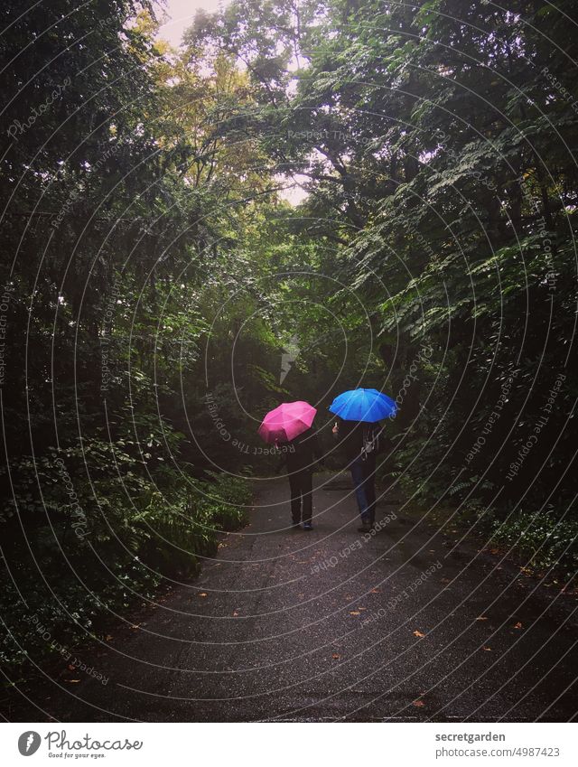 [HH unnamed road] Das Gespräch Regen Spaziergang Spaziergänger Schirm Regenschirm bunt Wege & Pfade gerade Wasser Park Friedhof schlechtes Wetter nass