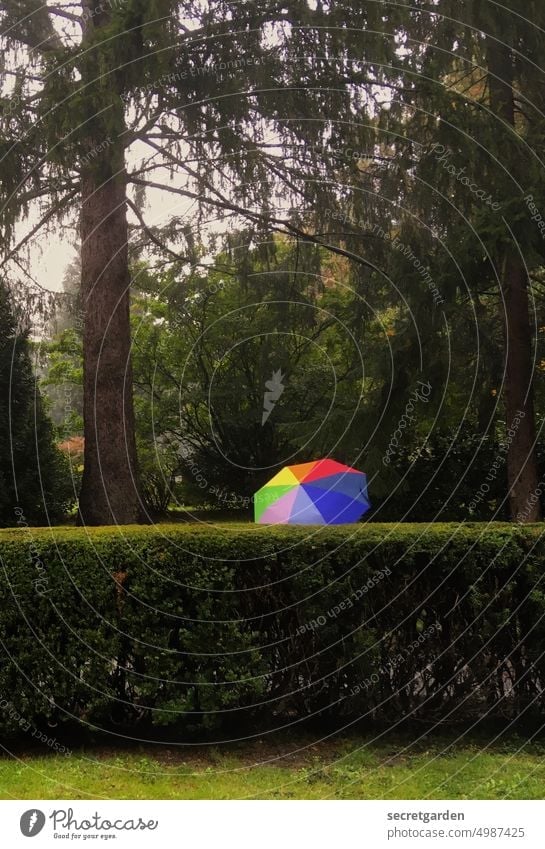 [HH unnamed road] Verdeckt & versteckt Park Garten grün Schirm Regenschirm bunt farbklecks Wetter Schutz Farbfoto Außenaufnahme Herbst kalt Klima Mensch Tag