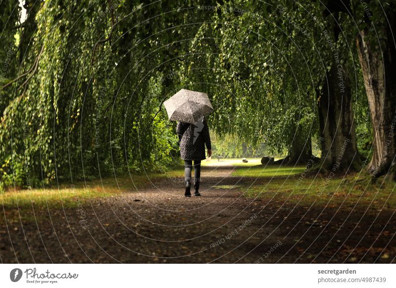 [HH unnamed road] Tunnelblick. Spaziergang Entspannung Parkanlage Herbst Regenschirm nass regnerisch Frau laufen gehen entspannend alleine einsam Bäume Baum