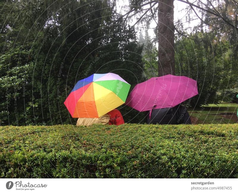 [HH unnamed road] Schirmherrschaft Regen Park Garten grün bunt Lila Rücken Hecke gerade nass Regenbogenfarben Baum zwei Personen Spaziergang Natur Außenaufnahme