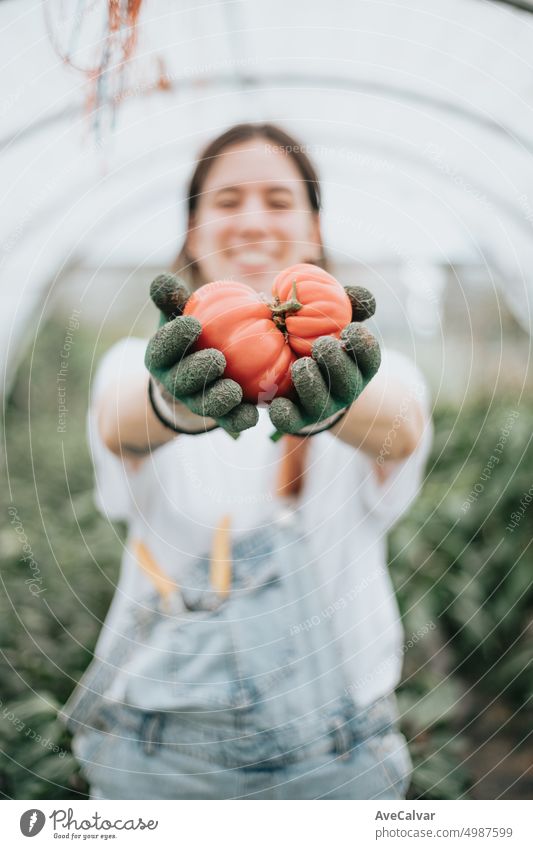 Junge Frau hält frische Tomaten in die Kamera und lächelt nach einem harten Arbeitstag Person Ernte Landwirt Landwirtschaft wachsend Gartenarbeit Ernten Vitamin