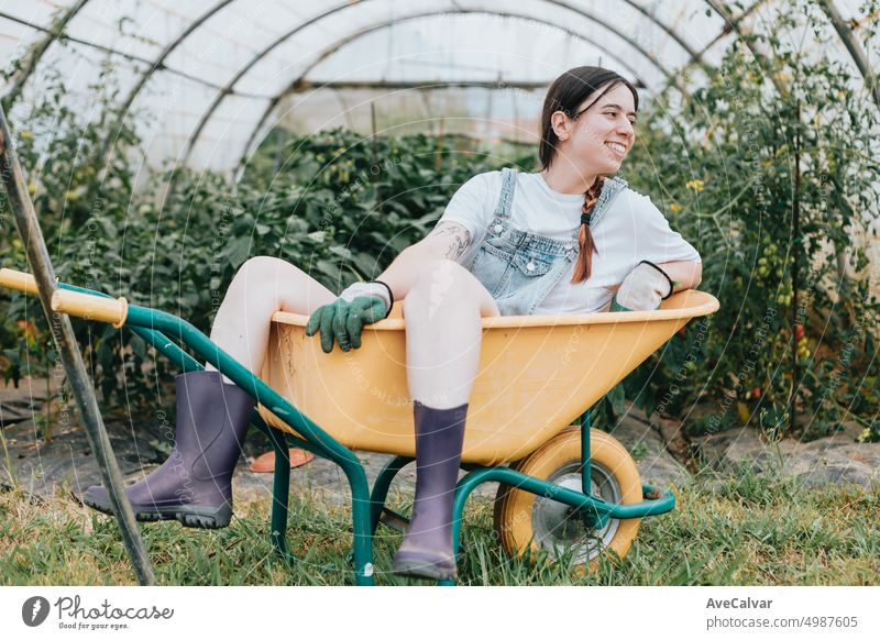 Junge Frau ruht sich nach einem Arbeitstag glücklich in einer Schubkarre aus. Lustiges ländliches Sammelbild Beruf Gartenarbeit Lächeln Gewächshaus Landwirt